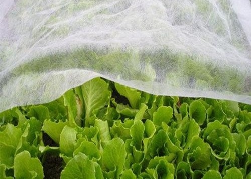 comprar Transmisión de luz de calor para la agricultura online manufacture