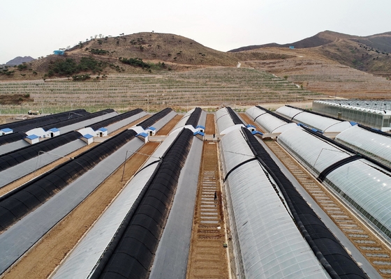 comprar Fabricación o fabricación de tejidos de control de malezas agrícolas online manufacture