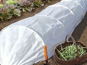 comprar Agricultura Tejido de barrera de malezas para mantener la temperatura Tejido de control de plagas para mayoristas online manufacture