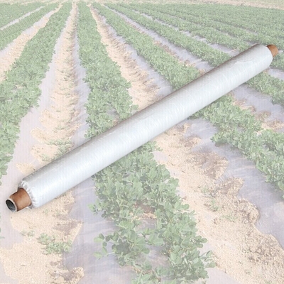 comprar Tejidos no tejidos agrícolas, SMS, PP, PET, Antifríos Anti-UV Antienvejecimiento online manufacture
