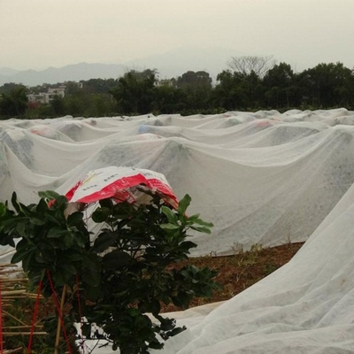 comprar Aislamiento térmico agrícola no tejido para la siembra, cultivo, ahorro de agua y control de malezas online manufacture