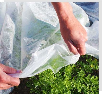 comprar Tela no tejida agrícola de 6400 mm para control de malezas, 60 g/m² online manufacture