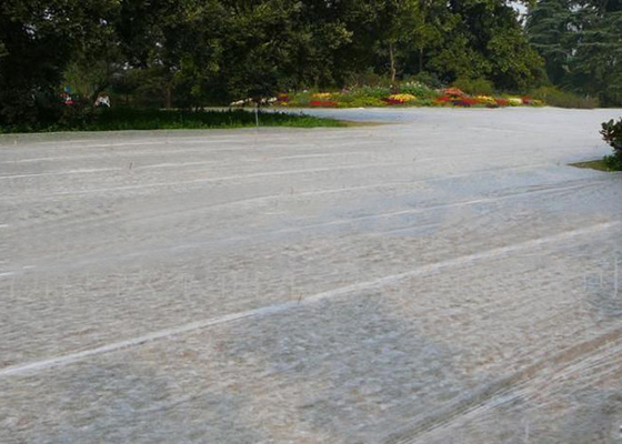 comprar Tela no tejida adicional blanca no tejida del paisaje de la anchura del 100% PP biodegradable para la granja online manufacture