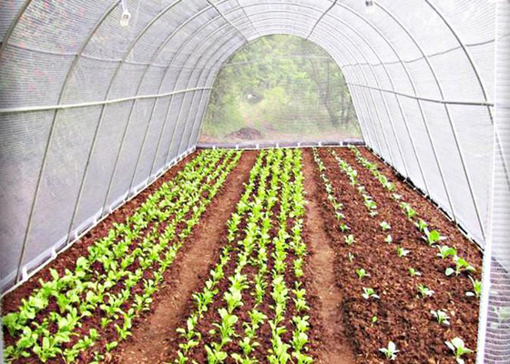 comprar Tejido no tejido de PP agrícola a prueba de rayos UV Salud ambiental online manufacture
