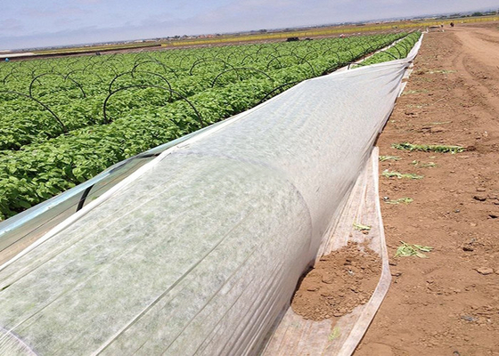 comprar Tela no tejida resistente ULTRAVIOLETA del polipropileno hidrofílica contra la hierba resistente al hielo online manufacture