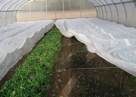 comprar Tela no tejida PP del control de malas hierbas del paisaje material para los jardines caseros que cultivan un huerto libremente online manufacture