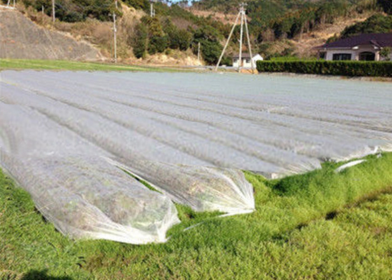 comprar La tela no tejida de tierra no tejida de la agricultura de la cubierta evita que las malas hierbas arruinen paisaje online manufacture