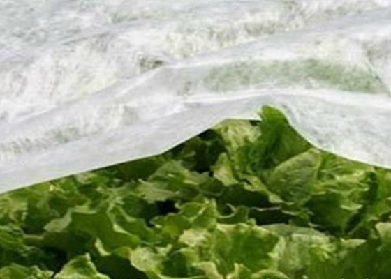 comprar Tela no tejida degradable 20gsm de la agricultura - 100gsm para la raíz empaqueta online manufacture