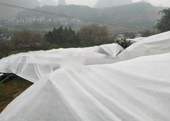 comprar Peso ligero blanco de la tela del control de malas hierbas de la cubierta de tierra no tóxico para los árboles frutales online manufacture