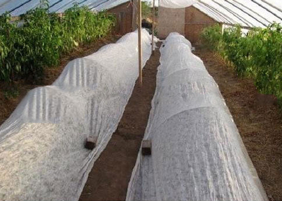 comprar Tela no tejida PP respetuosa con el medio ambiente, degradable, se puede utilizar como película agrícola online manufacture