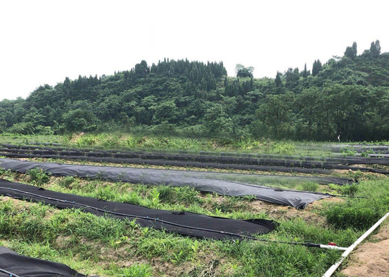 comprar Tela biodegradable no tejida hidrofílica los 50cm ~ anchura de los 200cm para la cubierta de tierra online manufacture