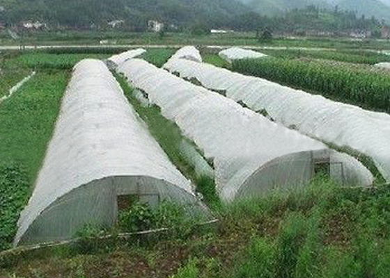 comprar Colores no tejidos ligeros de la tela de la agricultura diversos disponibles online manufacture