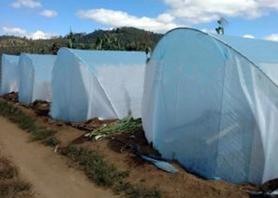 comprar Alto material no tejido 100% del polipropileno de la Virgen de la tela de la agricultura de la tensión online manufacture
