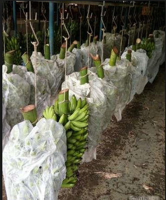 comprar Moho anti de la anchura de la tela no tejida los 320cm de la agricultura de la afición que cultiva un huerto online manufacture