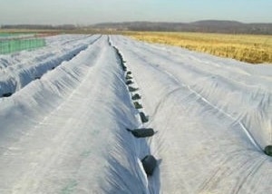 comprar Parásitos atmosféricos antis hidrofóbicos respirables de la tela no tejida de los PP para la agricultura online manufacture
