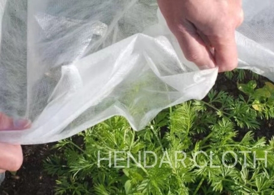 comprar Fruta que envuelve la tela no tejida 3200m m de los PP Spunbond del paño modificados para requisitos particulares para la agricultura online manufacture