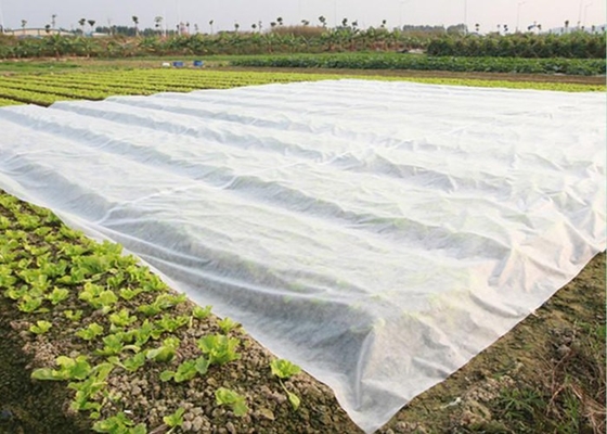 Color y tamaño personalizados de tejido no tejido PP Spunbond para aplicaciones agrícolas