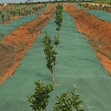 Tejido no tejido para barreras de malezas