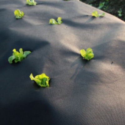 High-Toughness Agricultural Protective Nonwoven : Anti-Aging , Tear-Resistant for Crop Cultivation