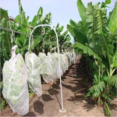 Bolsas de cubierta de frutas no tejidas transpirables no tejidas agrícolas para la protección de plátanos y uvas