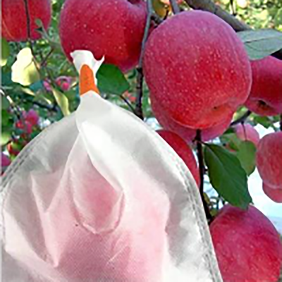 Bolso hidrofóbico no tejido agrícola ULTRAVIOLETA anti de la fruta de los PP protector para el plátano de Apple